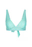 Blauwe Ivy Bikinitop | Multi